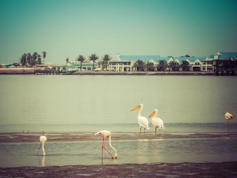 Flybilletter til Walvis Bay